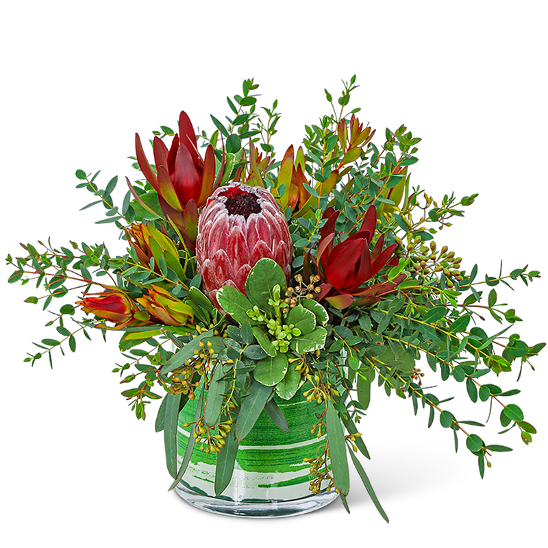 Protea Wilderness