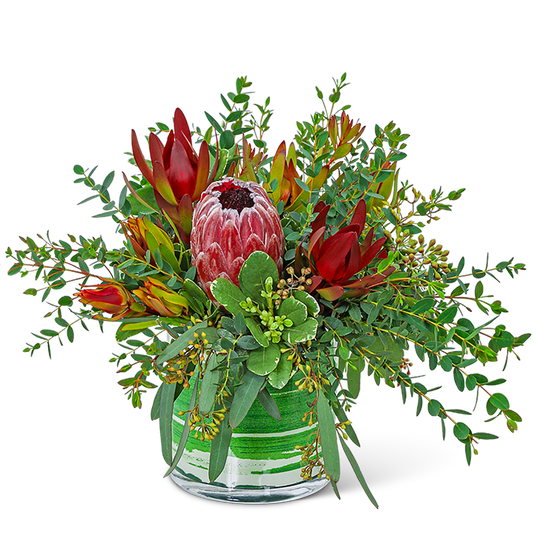 Protea Wilderness