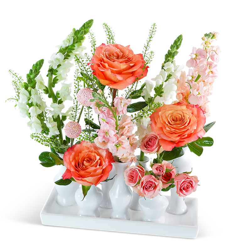 Coral Pop Bud Vase Blooms
