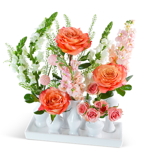 Coral Pop Bud Vase Blooms
