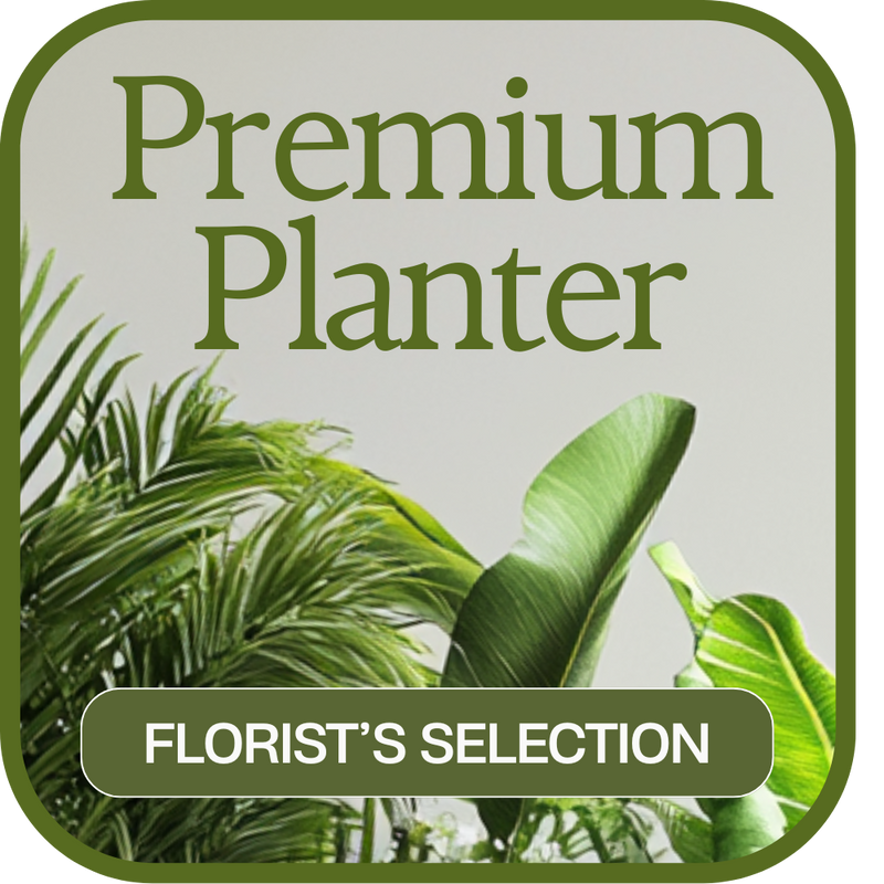 Designer's Choice Premium Planter