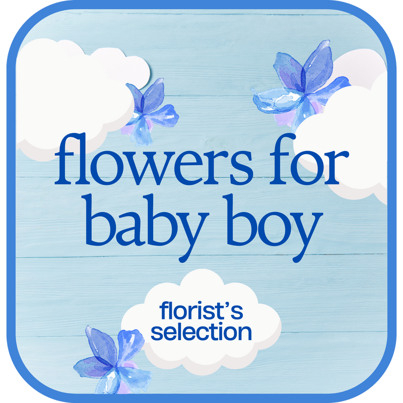 Designer's Choice Baby Boy