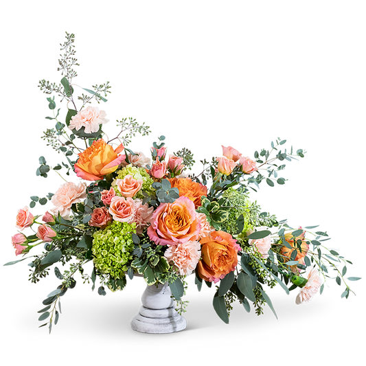 Coral Compote