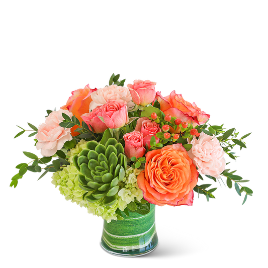 Coral Calma with Succulents