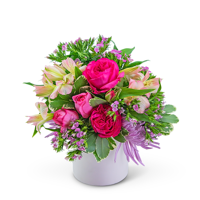 English Rose