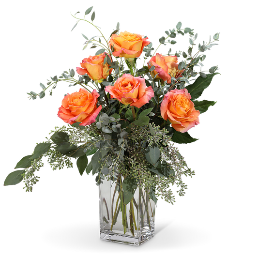 Free Spirit Roses (6)