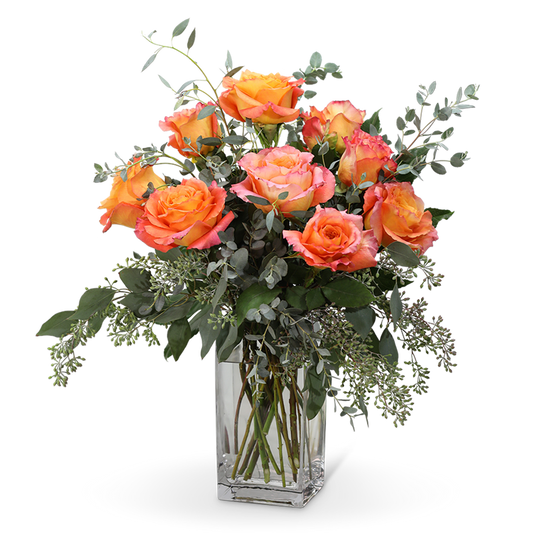 Free Spirit Roses (9)