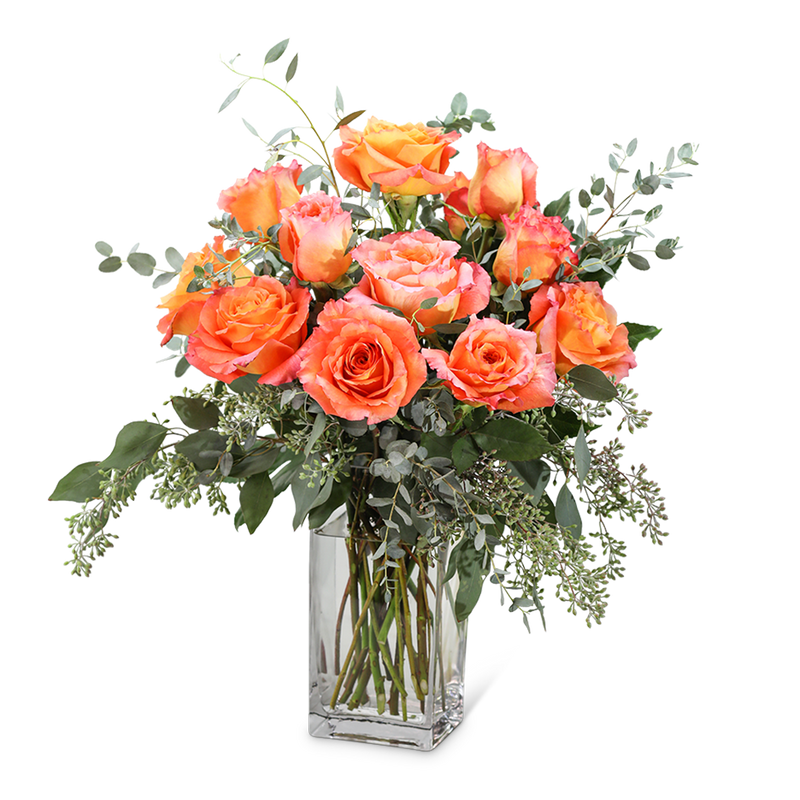 Free Spirit Roses (12)
