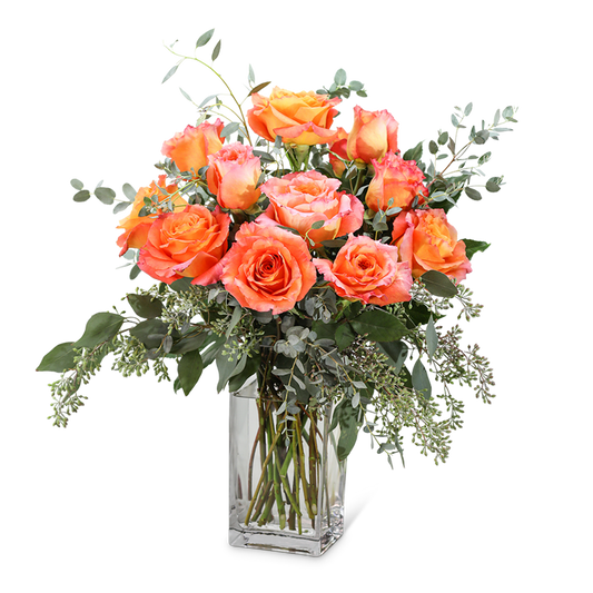 Free Spirit Roses (12)