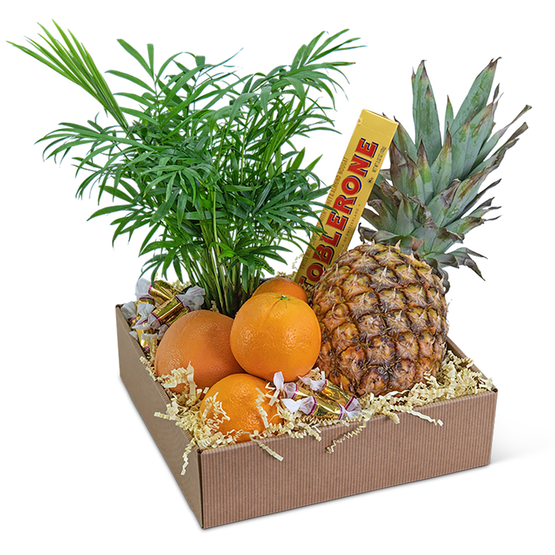 Tropical Oasis Basket