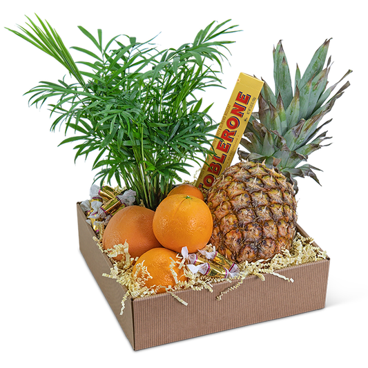 Tropical Oasis Basket
