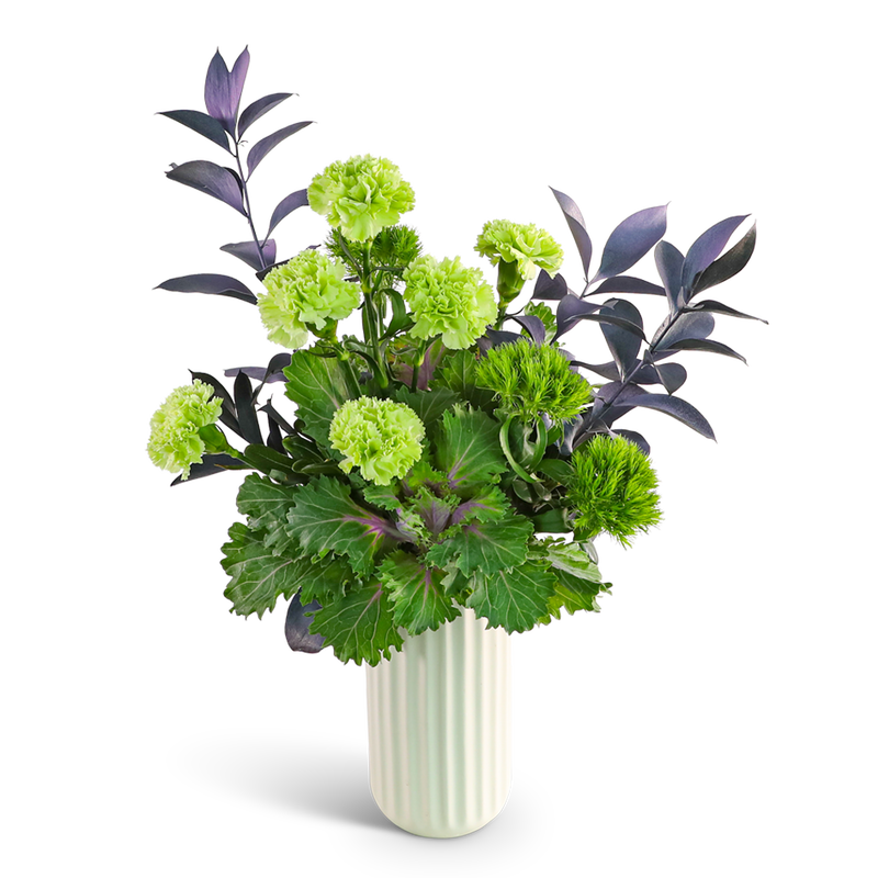 Elphaba Enchantment