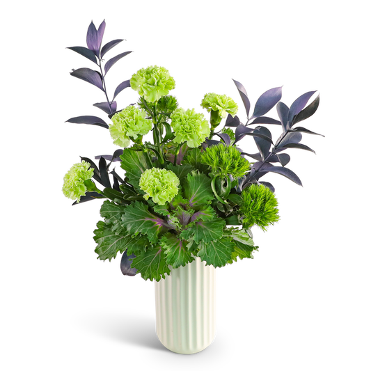 Elphaba Enchantment