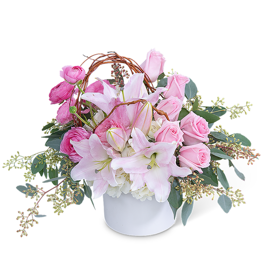 Blush and Beauty