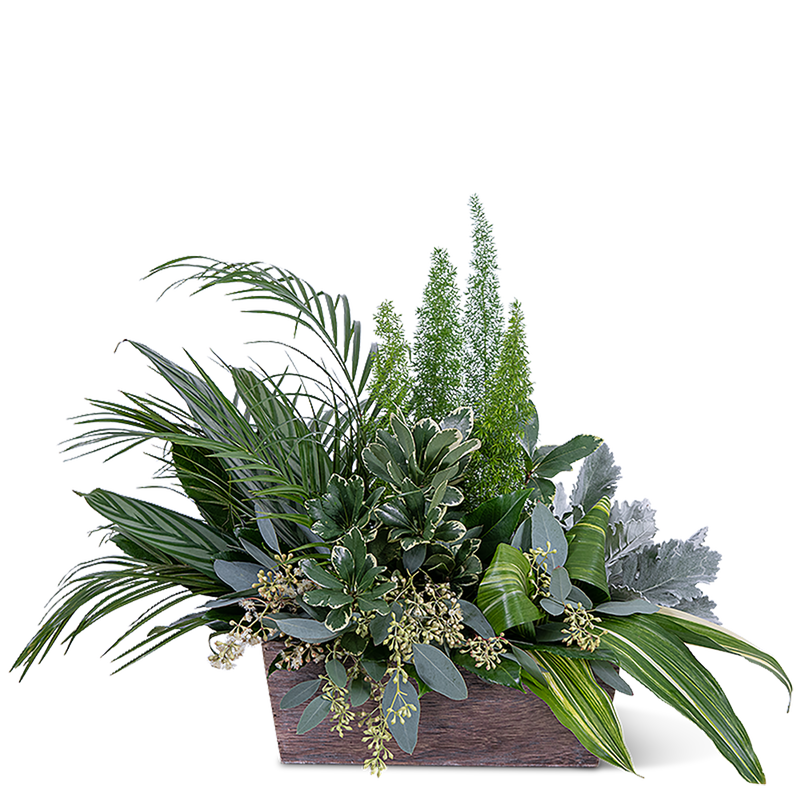 Verdant Love