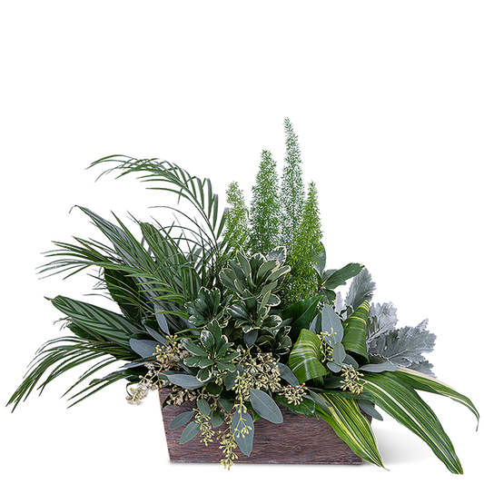 Verdant Love