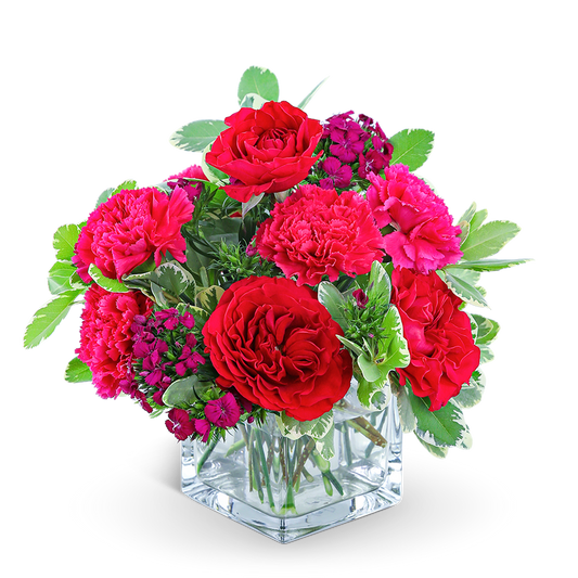 Stylish Pomegranate
