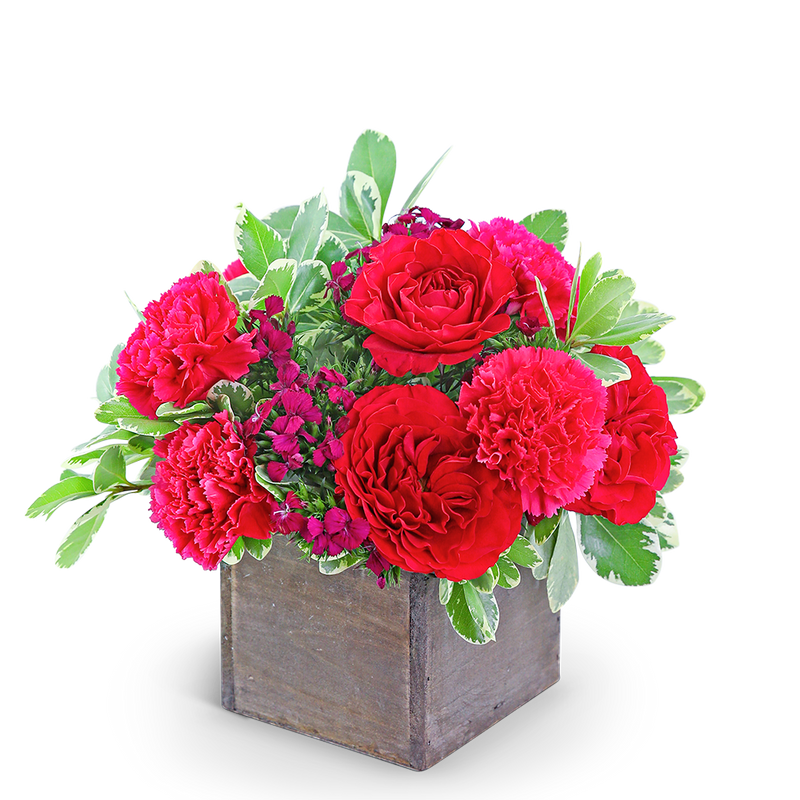 Rustic Pomegranate