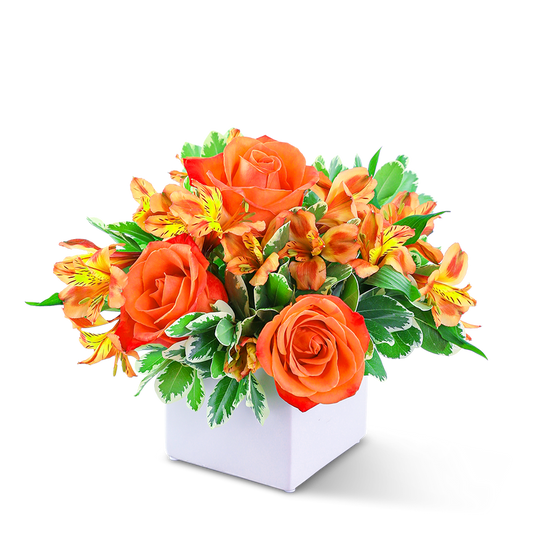Tangerine Twish