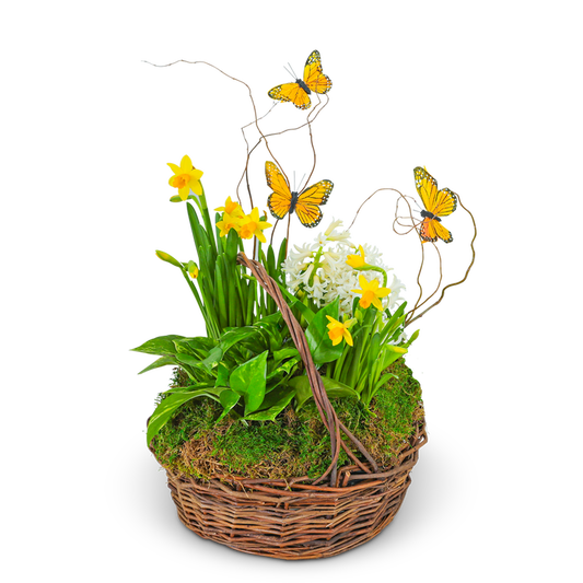 Spring Plants with Butterflies