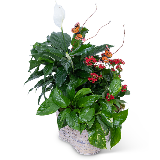 Verdant Basket with Butterflies