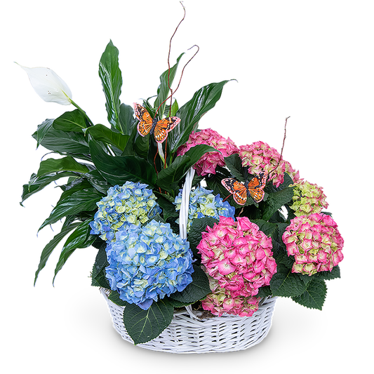 Bountiful Basket with Butterflies
