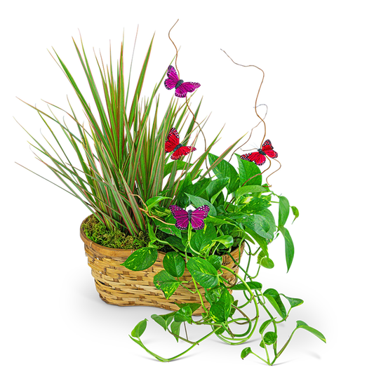 Ethereal Garden Basket