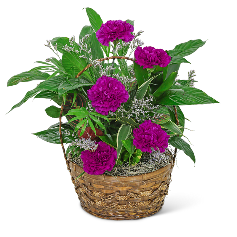 Dish Garden with Purple Florals