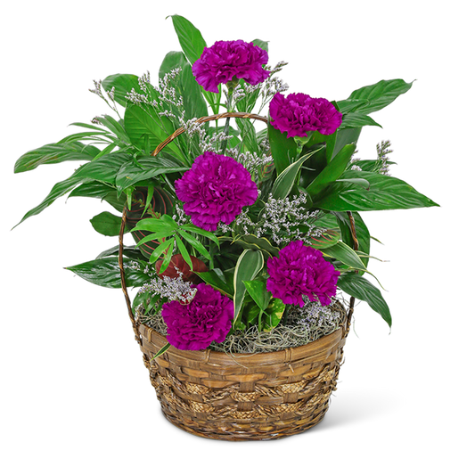 Dish Garden with Purple Florals