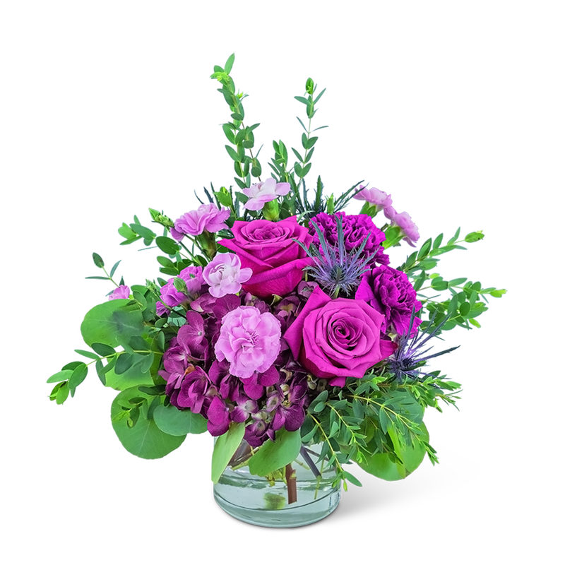 Mod Magenta