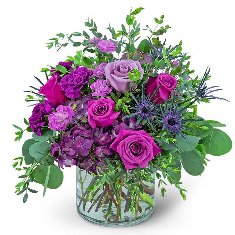 Magnificent Magenta