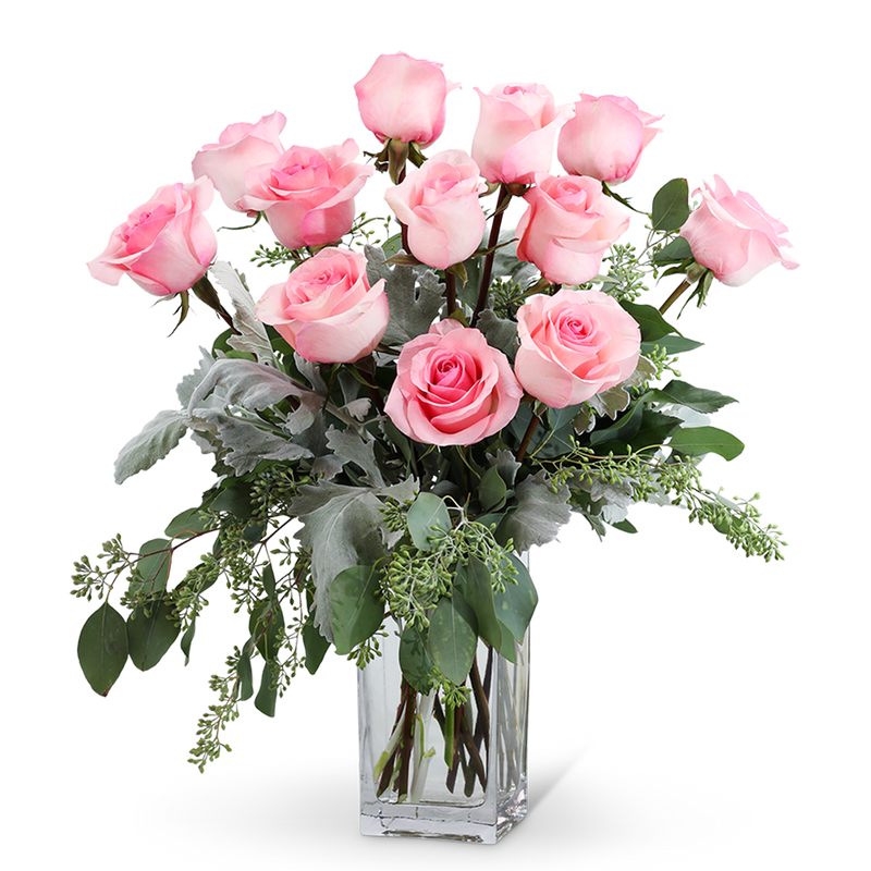 Pink Roses (12)