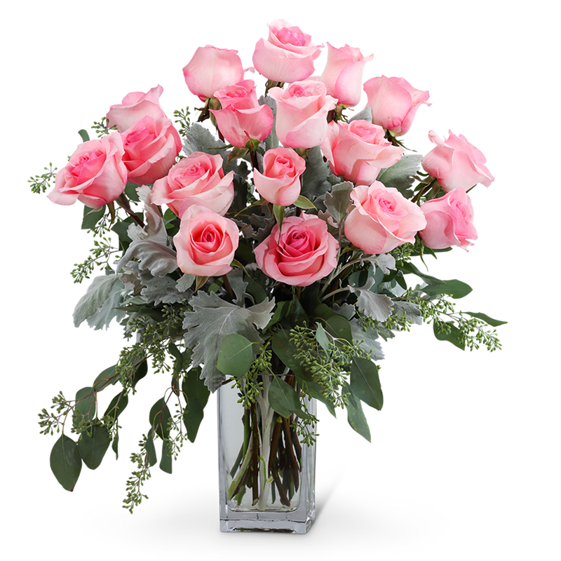 Pink Roses (18)