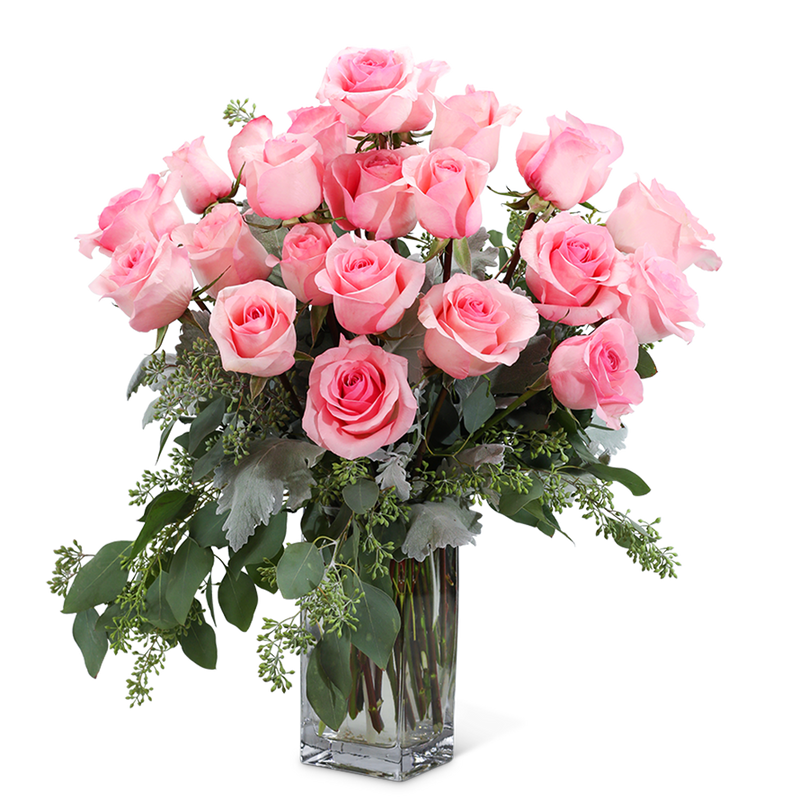 Pink Roses (24)