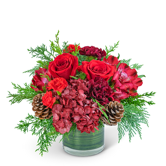 Ruby Red Velvet