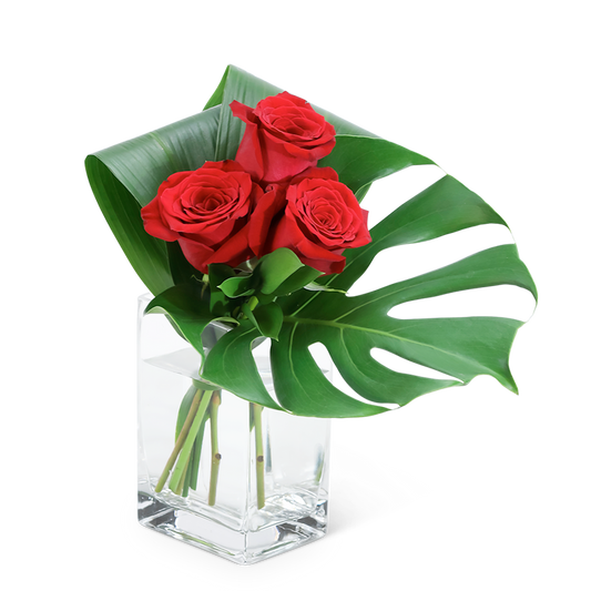 Modern Roses (3)