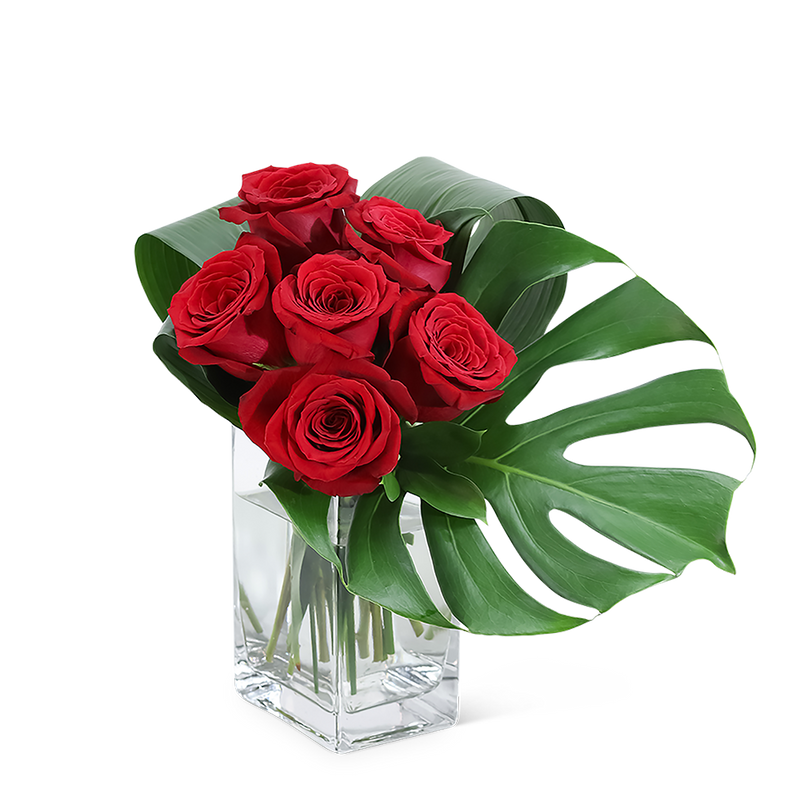 Modern Roses (6)