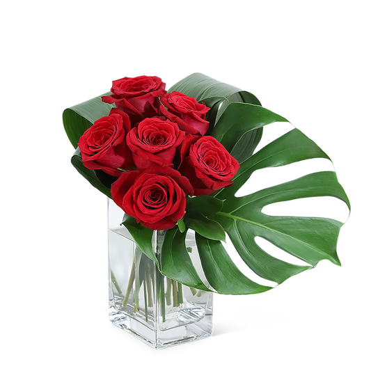 Modern Roses (6)