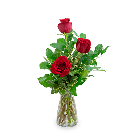 Red Roses (3)