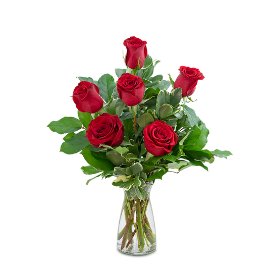 Red Roses (6)