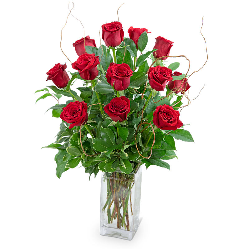 Dozen Red Roses with Willow