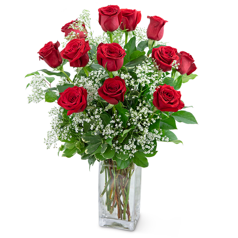 Dozen Roses in a Cloud