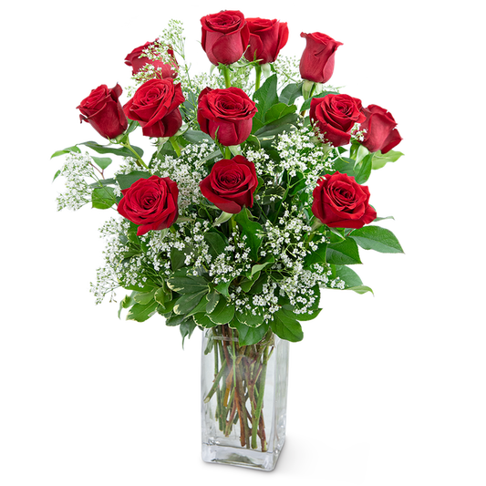 Dozen Roses in a Cloud