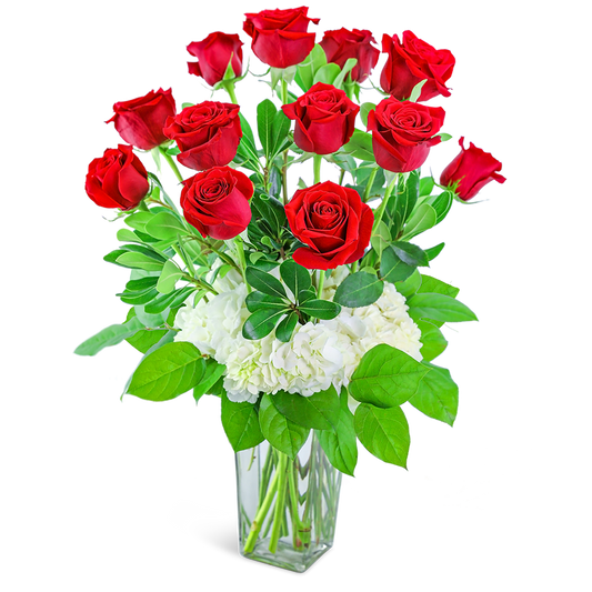 One Dozen Red Roses with Hydrangea