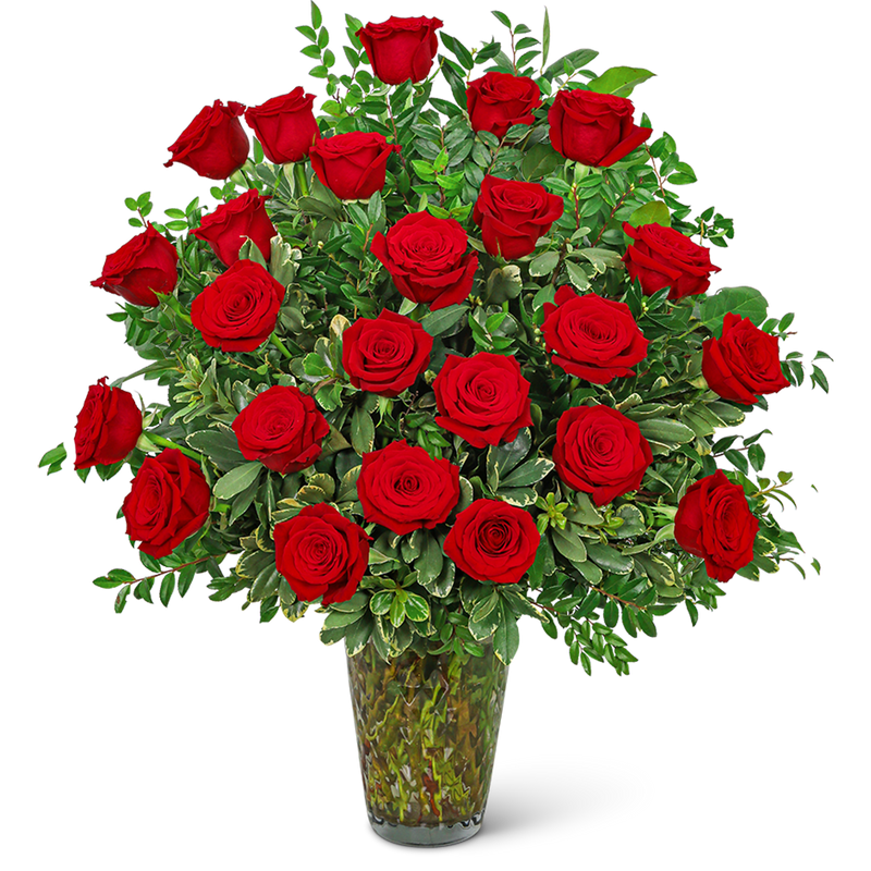 Two Dozen Elegant Red Roses