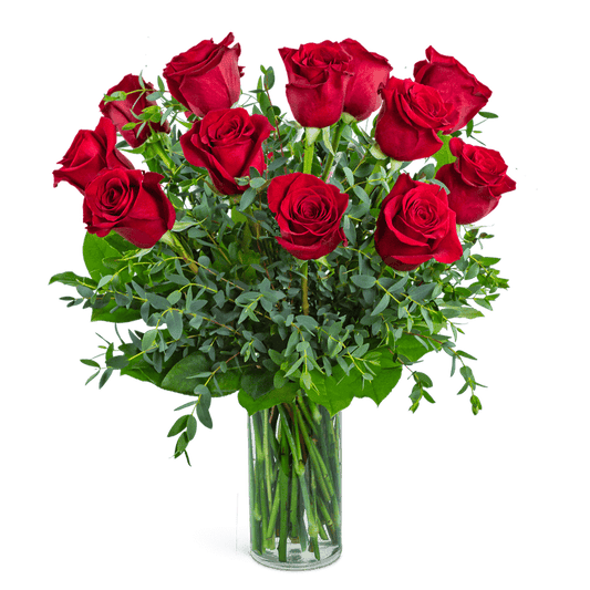 One Dozen Red Hot Roses