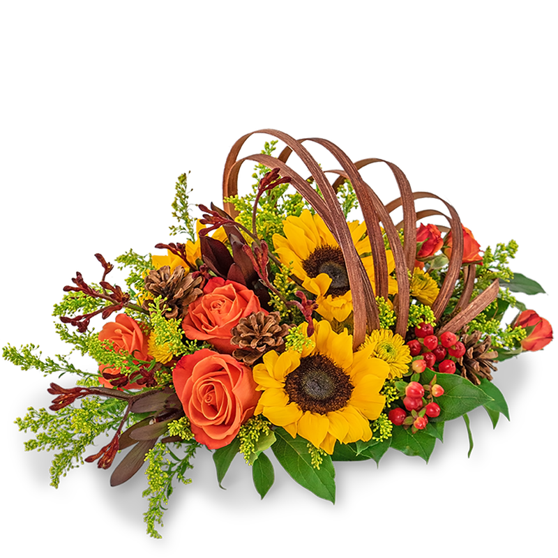 Creative Cornucopia