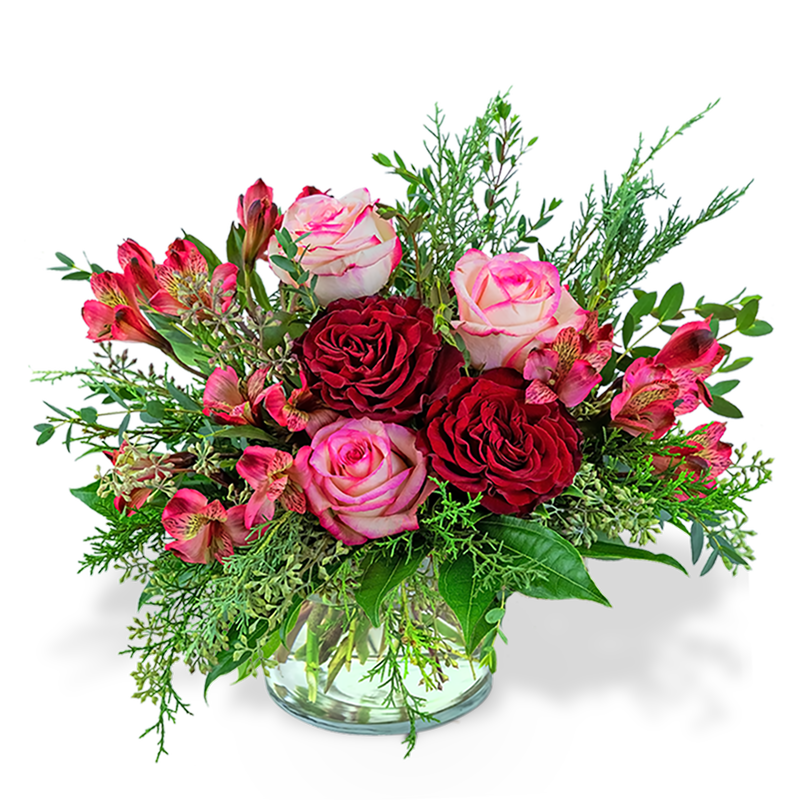 Cranberry Rose