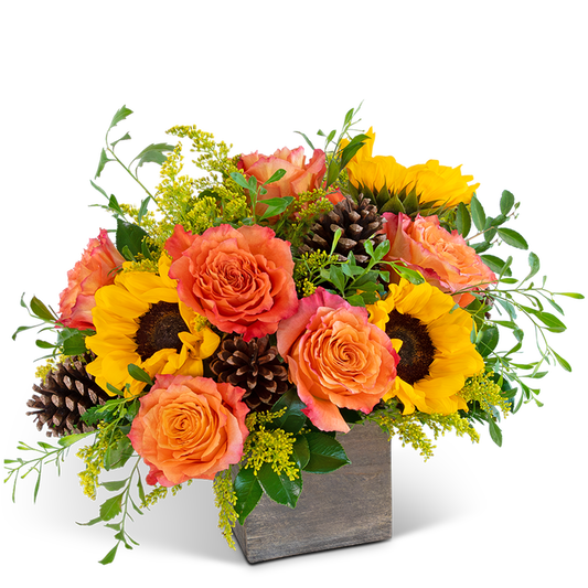 Harvest Sunburst Luxe