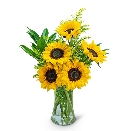 Sunflower Sunshine